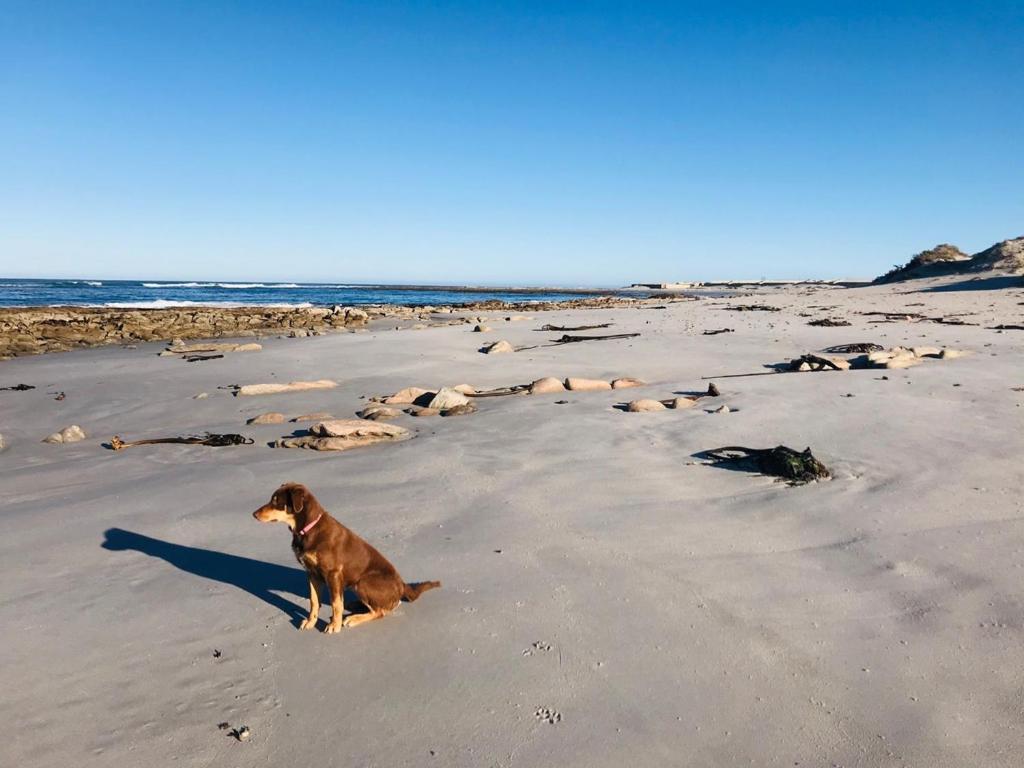 Port Nolloth Beach Shack Екстер'єр фото